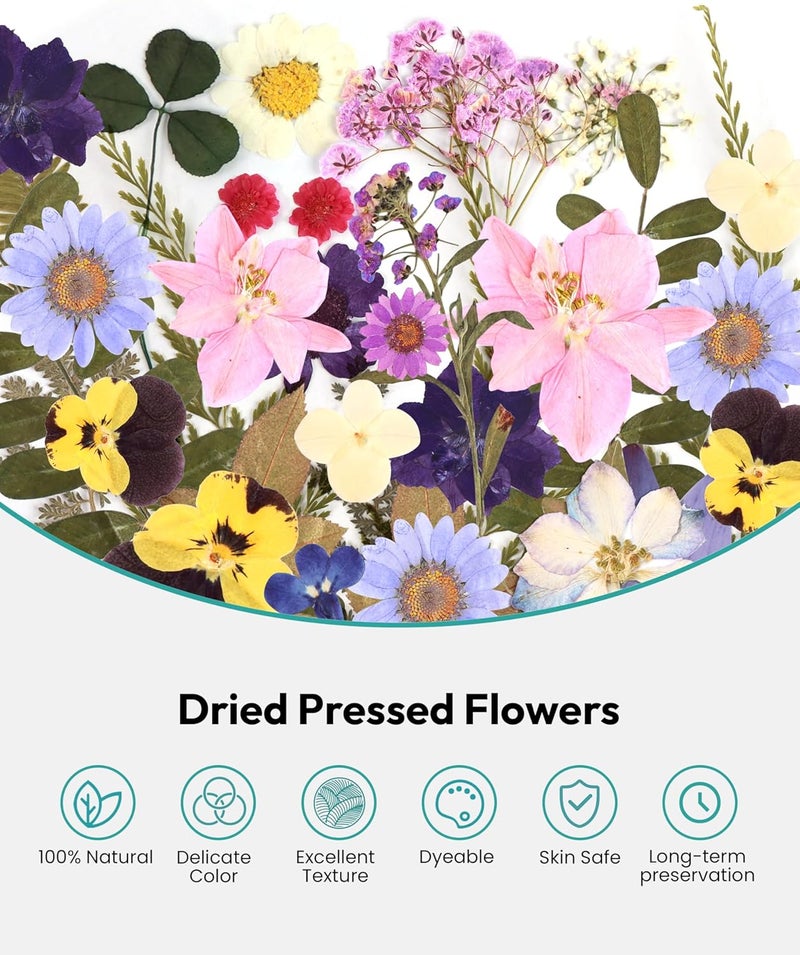 Resiners Dried Flowers, 58Pcs Pressed Flowers for Craft Purple Real Natural Dried Flowers Dry Leaves Kit for DIY Making Crafts Resin Soap Candle Scrapbook Supplies Card Making Jewelry - Image 4
